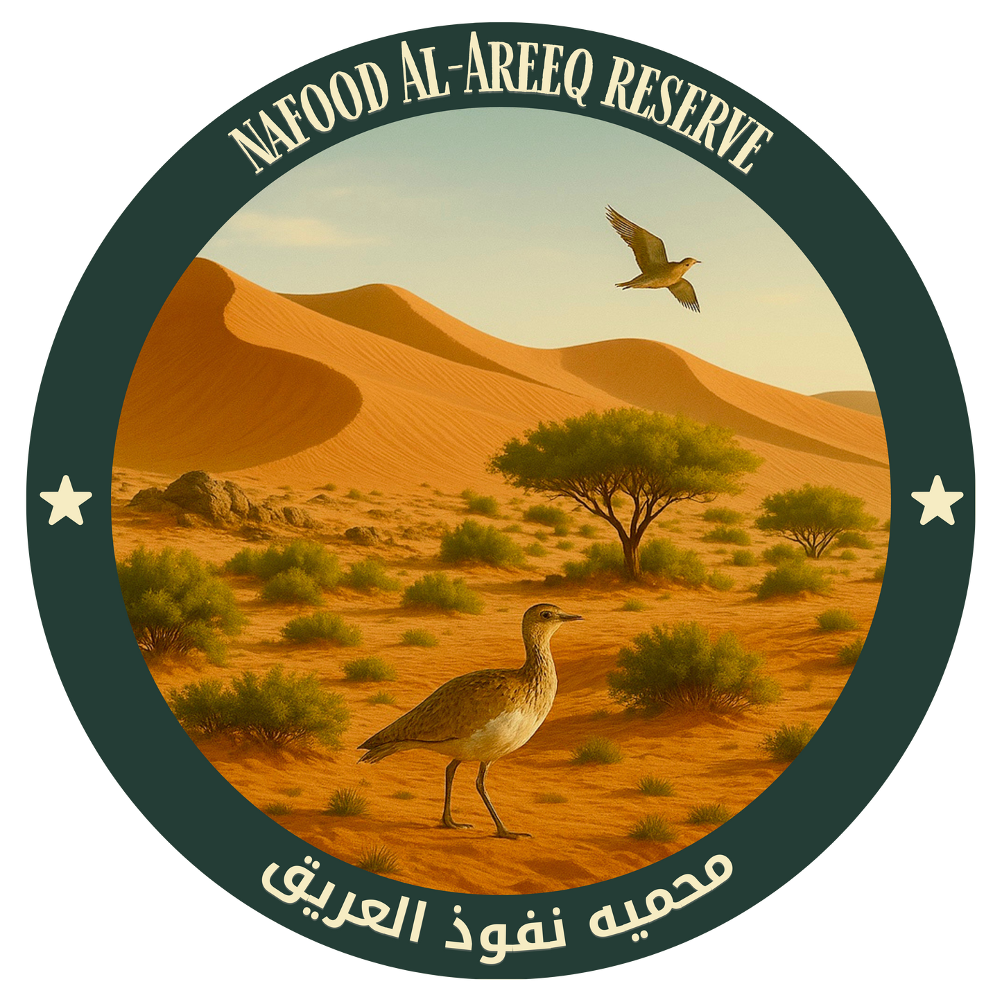 Tُhe 10 NCW Reserves Stickers Pack