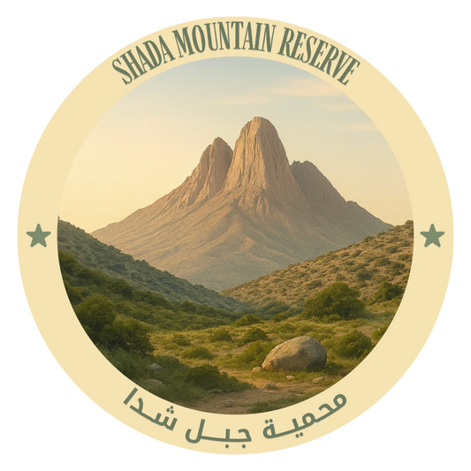 Tُhe 10 NCW Reserves Stickers Pack