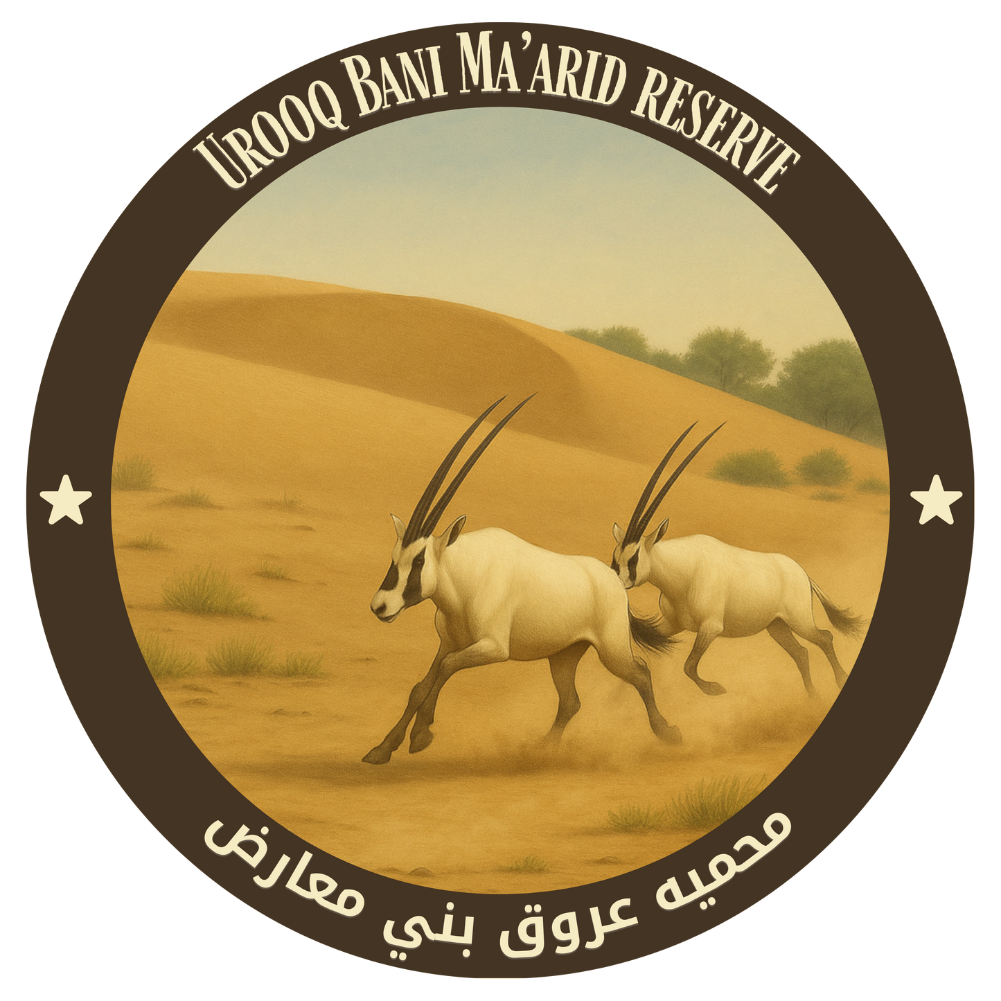 Tُhe 10 NCW Reserves Stickers Pack